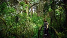 Imagen Sendero